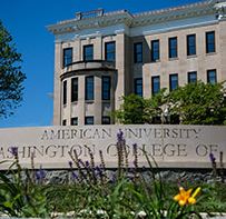 Video Game and IP Law, American University