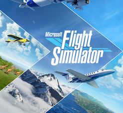 Microsoft Flight Simulator