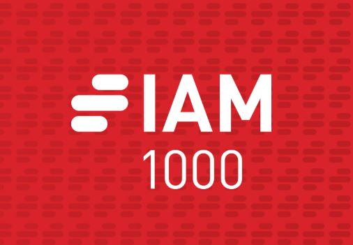 Ross Dannenberg Recognized in IAM Patent 1000 in 2024